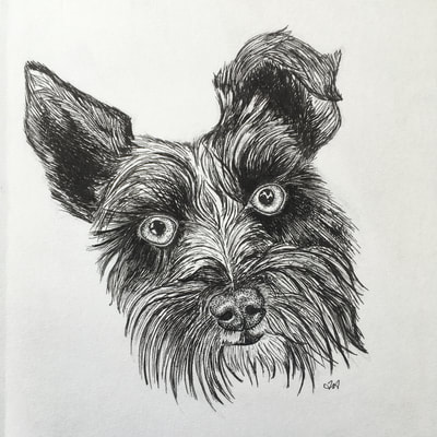 pen drawing dog

