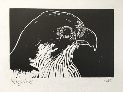 peregrine falcon linocut print