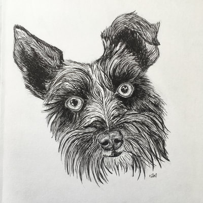 pen drawing of dog