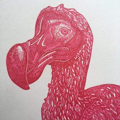 dodo linocut