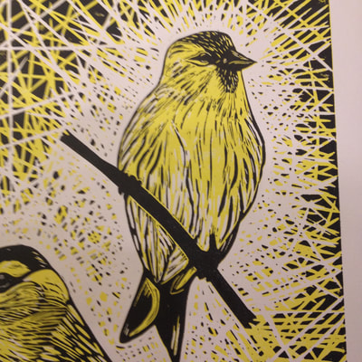 detail from reduction linocut print of a siskin
