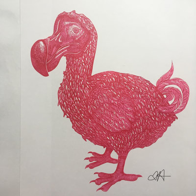 pink dodo linocut print